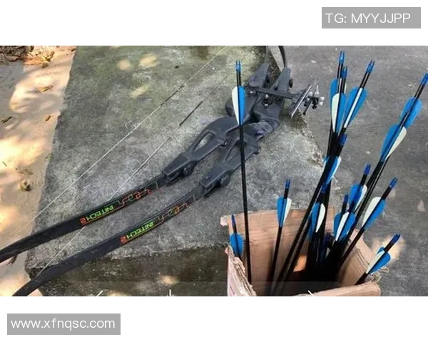 南京攀岩队控制打法深度解析与战术应用探讨