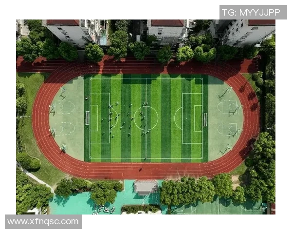 上海网球队防守革新之路探索与实践的深度解析与展望