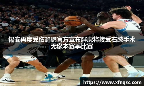锡安再度受伤鹈鹕官方宣布胖虎将接受右膝手术无缘本赛季比赛